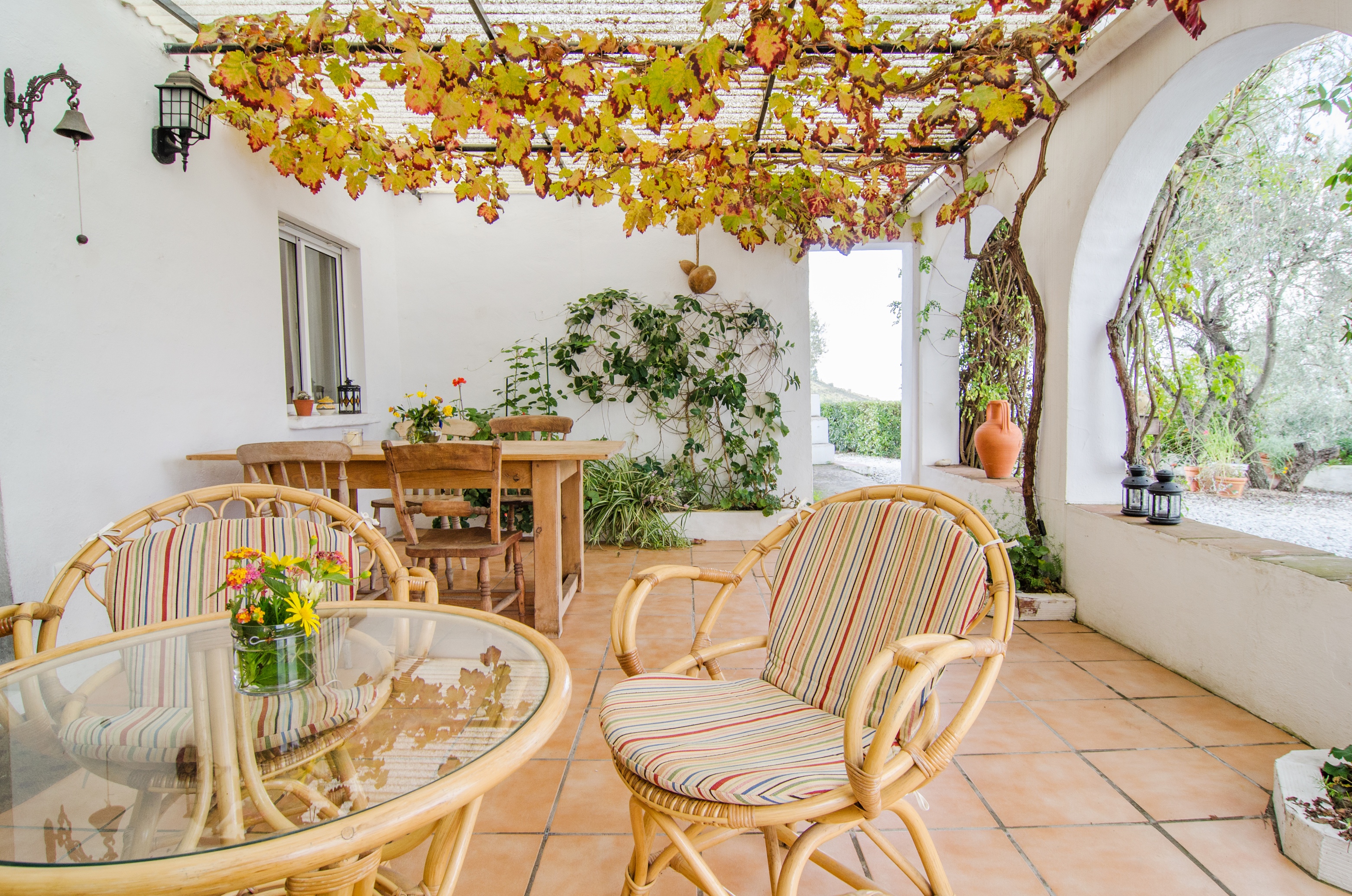 Spanien, Andalusien, Competa Privat Hus Overdækket Terrasse 4